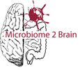 The brain–gut–microbiome axis